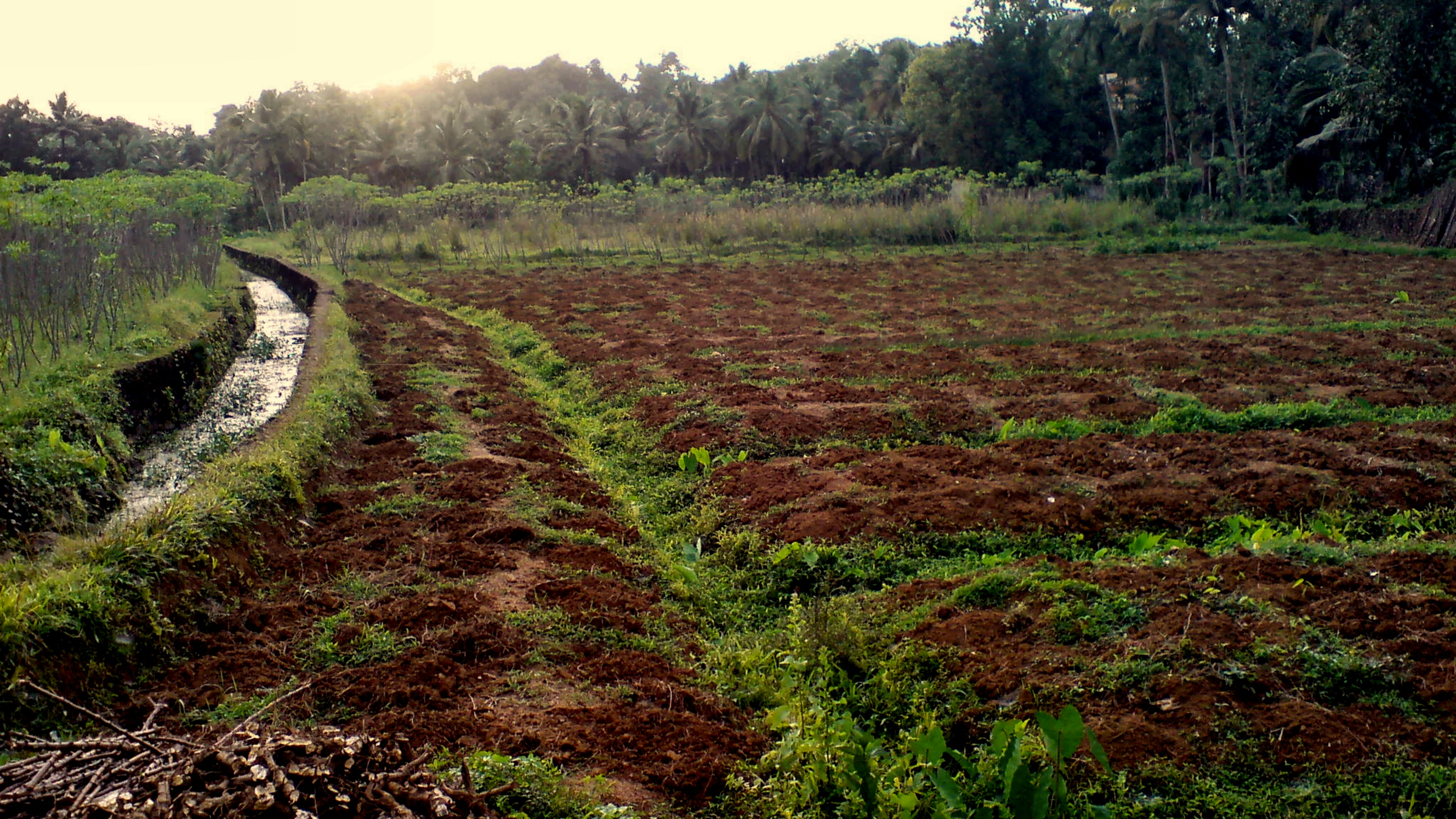 Farm with irrigation channels
